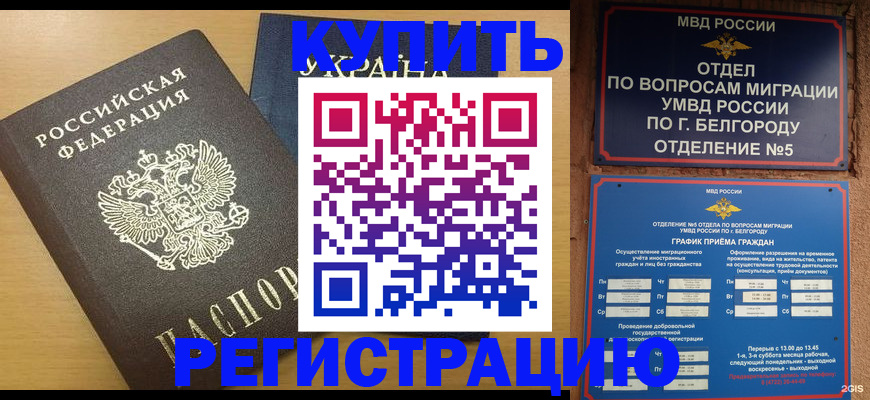 временная регистрация госуслуги в Дубне